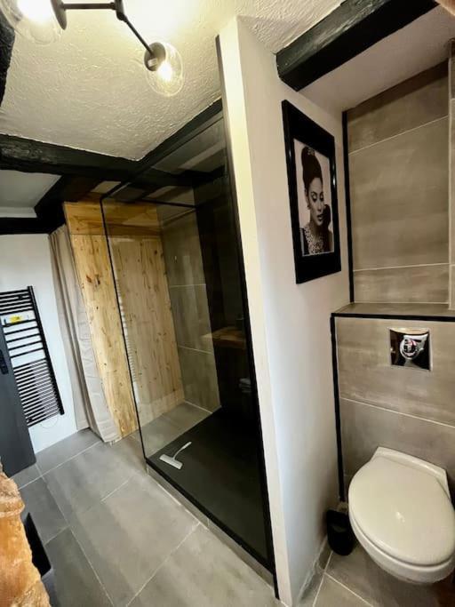 Appartement De Charme Alsacien, Centre Historique Sélestat Eksteriør bilde